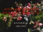 热烈欢迎参加全市农机购置 补贴业务培训的领导和同志们 ! - slide 1