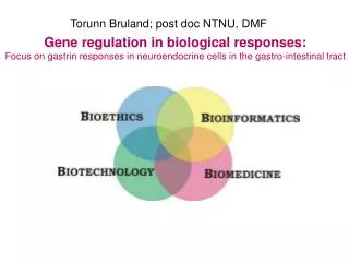 Torunn Bruland; post doc NTNU, DMF
