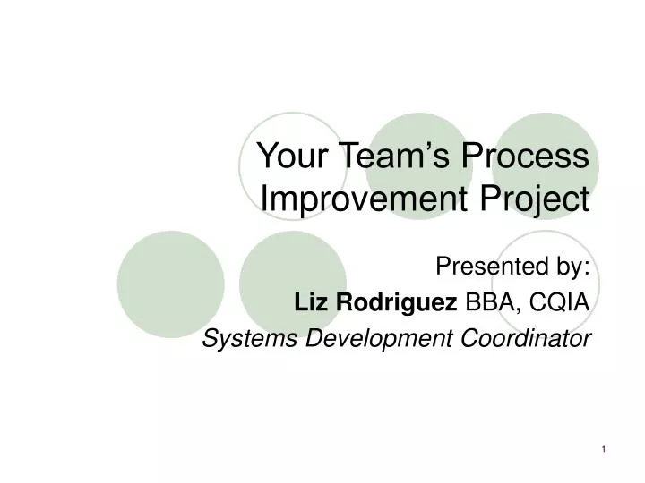 your team s process improvement project