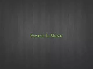 excursie la muzeu