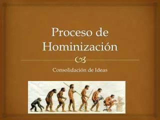 proceso de hominizaci n