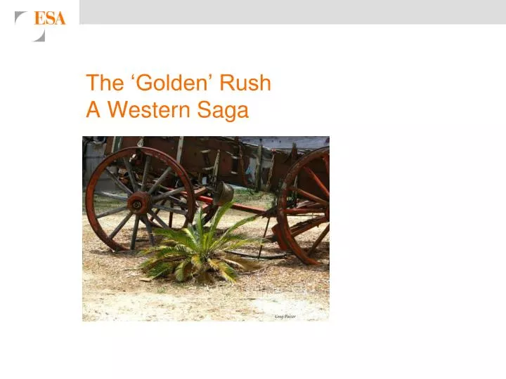 the golden rush a western saga