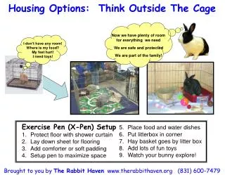 Housing Options: Think Outside The Cage