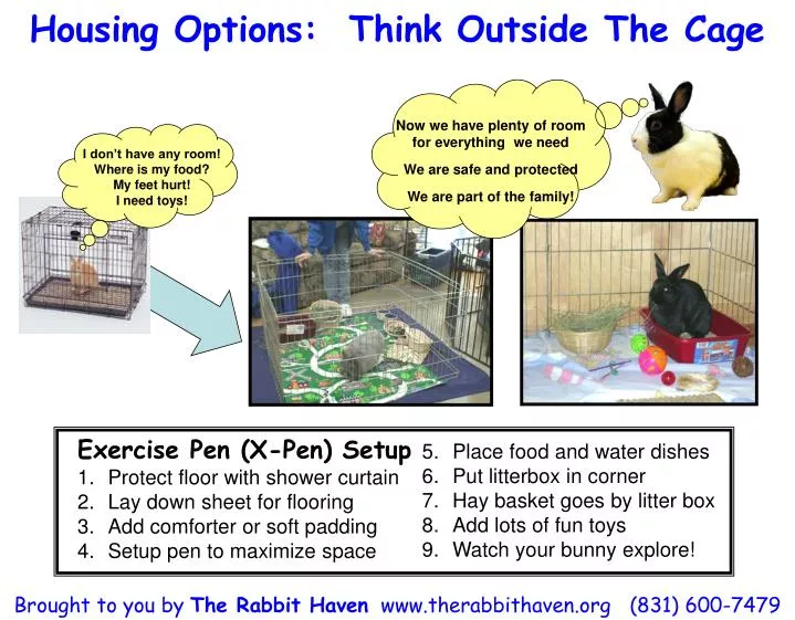 housing options think outside the cage