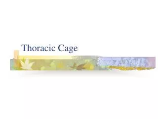 Thoracic Cage