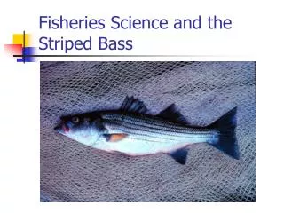 Fisheries Science and the Striped Bass