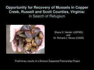 Opportunity for Recovery of Mussels in Copper Creek, Russell and Scott Counties, Virginia: