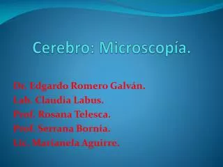 cerebro microscop a