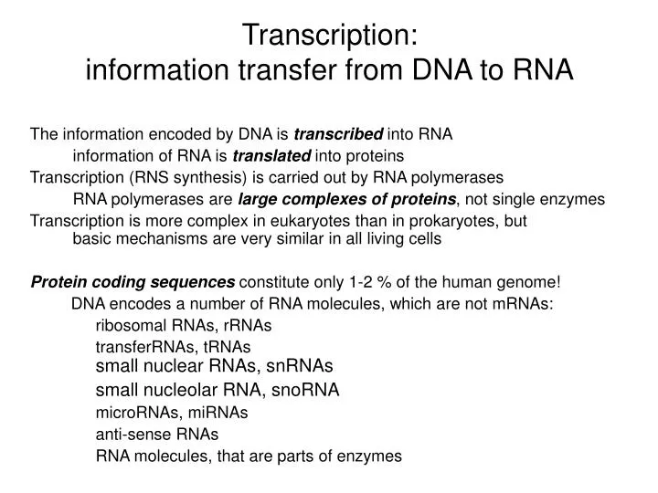 transcription information transfer from dna to rna