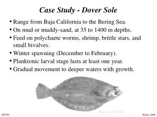 Case Study - Dover Sole