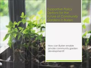 Supportive Policy Options for the Future of Community Gardens in Burien