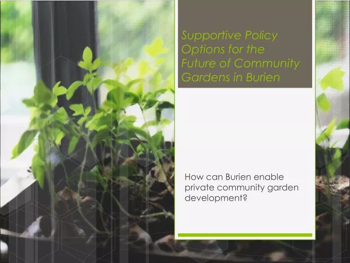 supportive policy options for the future of community gardens in burien