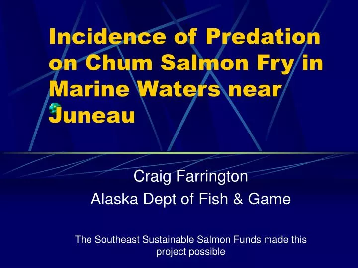 incidence of predation on chum salmon fry in marine waters near juneau