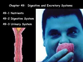 Chapter 49: Digestive and Excretory Systems