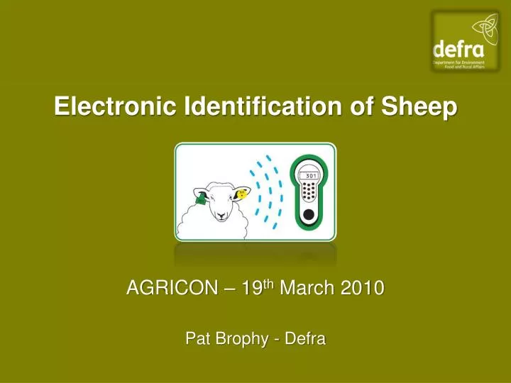 electronic identification of sheep