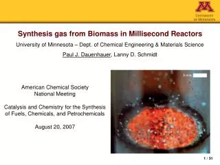 Synthesis gas from Biomass in Millisecond Reactors