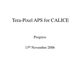 Tera-Pixel APS for CALICE