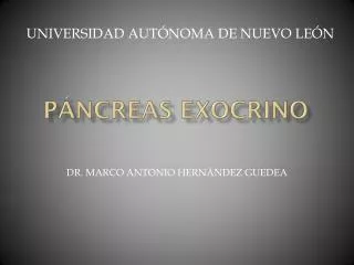 p ncreas exocrino