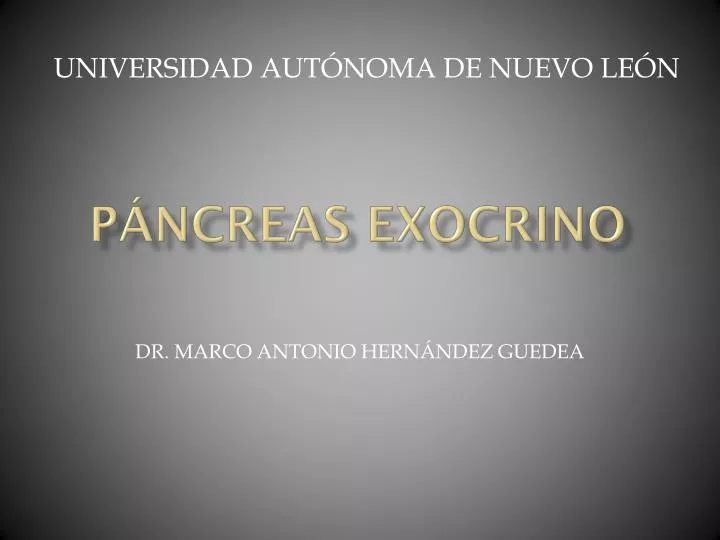 p ncreas exocrino