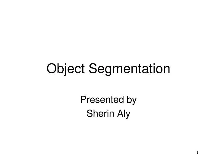 object segmentation