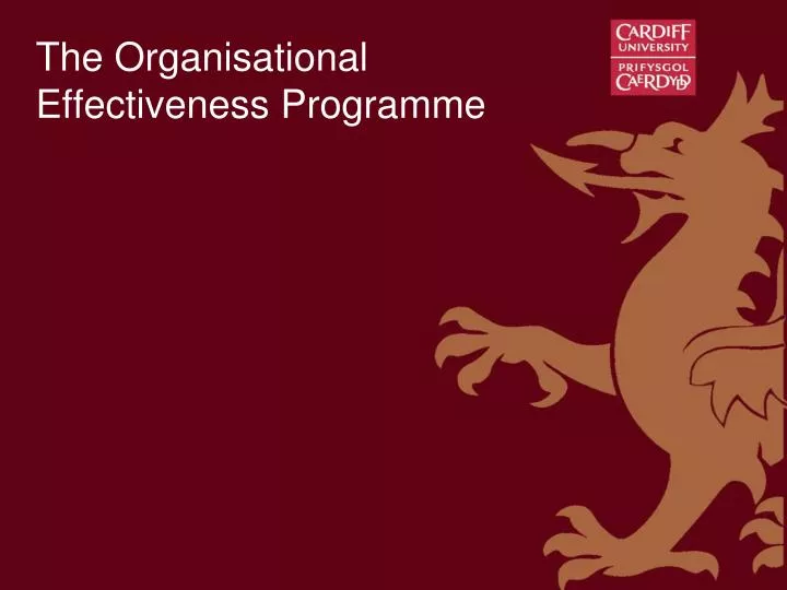 the organisational effectiveness programme