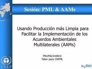 Sesión: PML &amp; AAMs