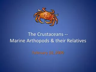 The Crustaceans -- Marine Arthopods &amp; their Relatives