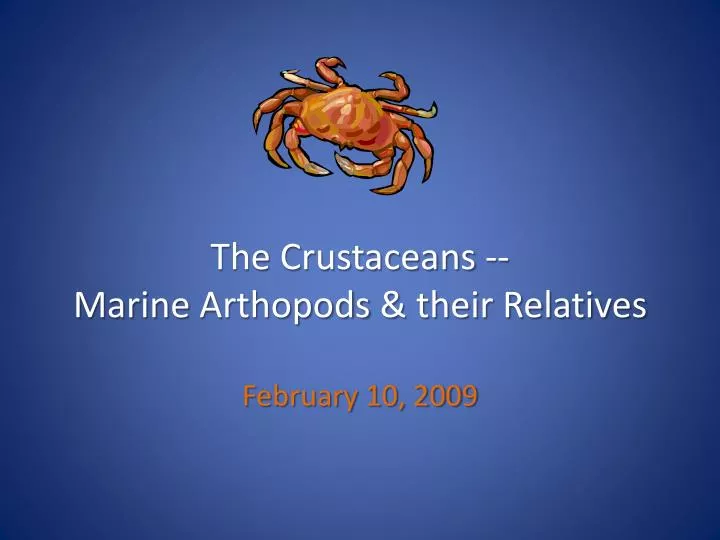 the crustaceans marine arthopods their relatives