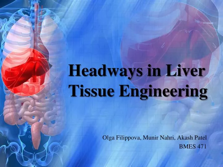 headways in liver tissue engineering
