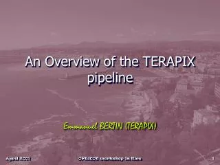 An Overview of the TERAPIX pipeline