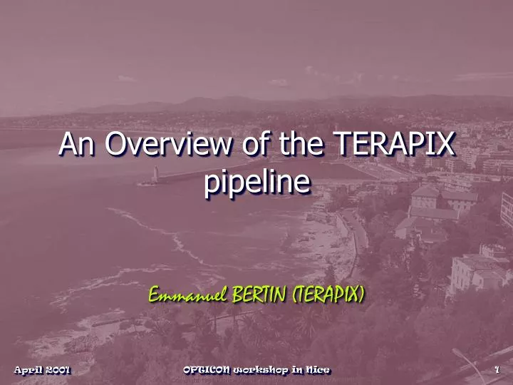 an overview of the terapix pipeline