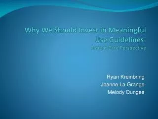 Why We Should Invest in Meaningful Use Guidelines: Patient Care Perspective