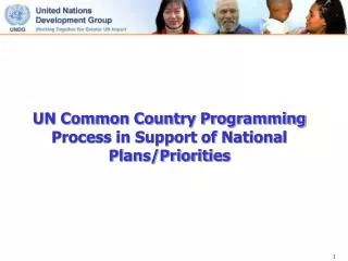 UN Common Country Programming Process in Support of National Plans/Priorities