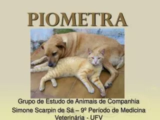 piometra