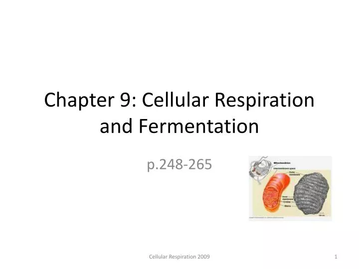 chapter 9 cellular respiration and fermentation