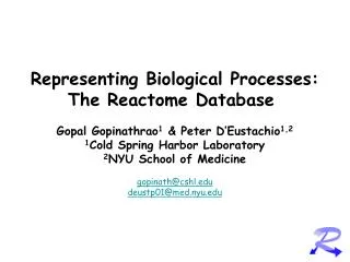 Representing Biological Processes: The Reactome Database