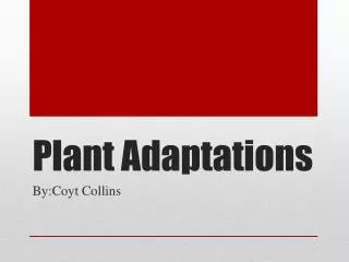 Plant Adaptations