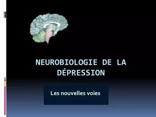 les nouvelles voies