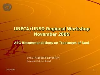 UNECA/UNSD Regional Workshop November 2005 AEG Recommendations on Treatment of land