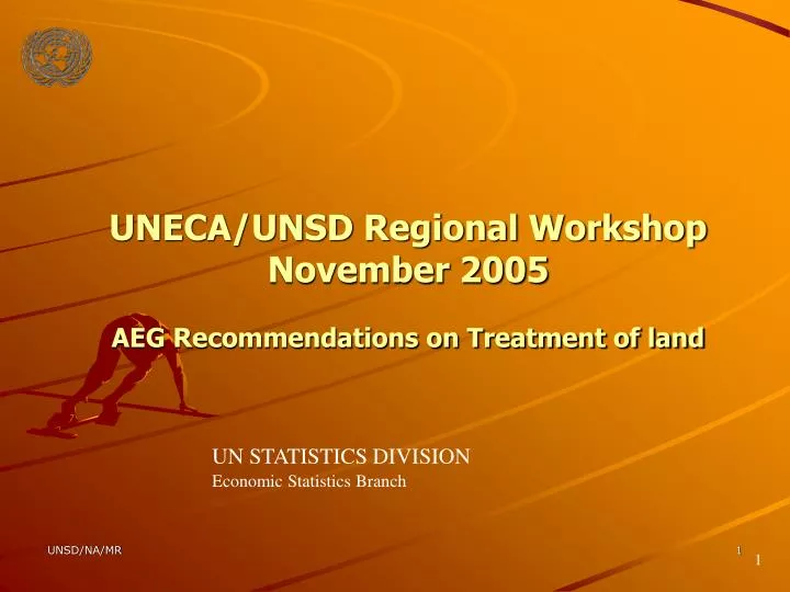 uneca unsd regional workshop november 2005 aeg recommendations on treatment of land