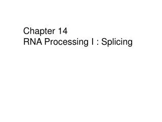 Chapter 14 RNA Processing I : Splicing