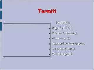 Termiti