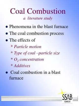Coal Combustion a literature study