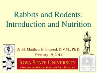 Rabbits and Rodents: Introduction and Nutrition