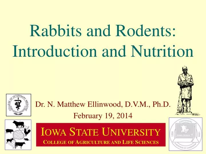 rabbits and rodents introduction and nutrition