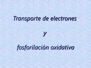 transporte de electrones y fosforilaci n oxidativa