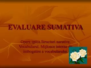 evaluare sumativa