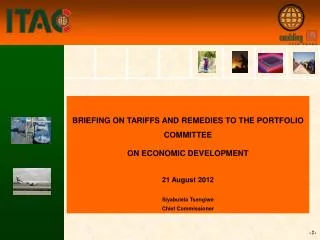 BRIEFING ON TARIFFS AND REMEDIES TO THE PORTFOLIO COMMITTEE ON ECONOMIC DEVELOPMENT