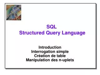 sql structured query language