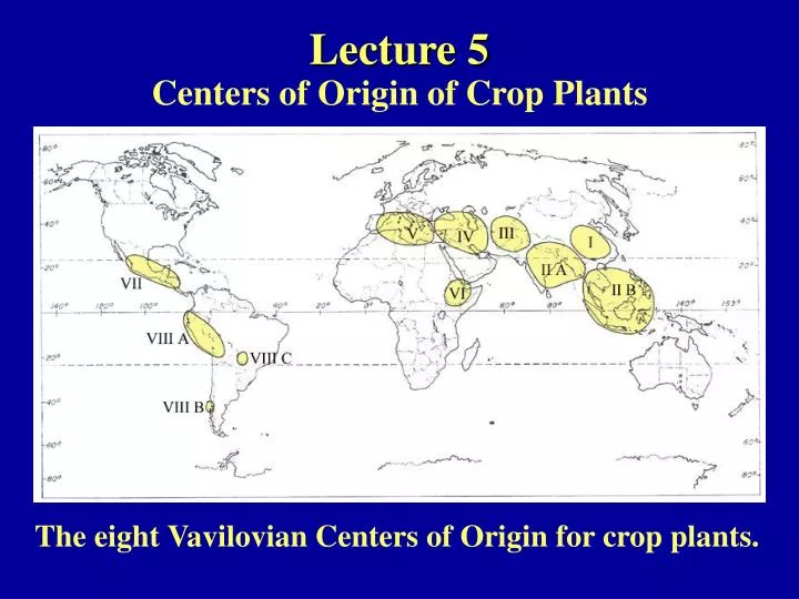 lecture 5 centers of origin of crop plants